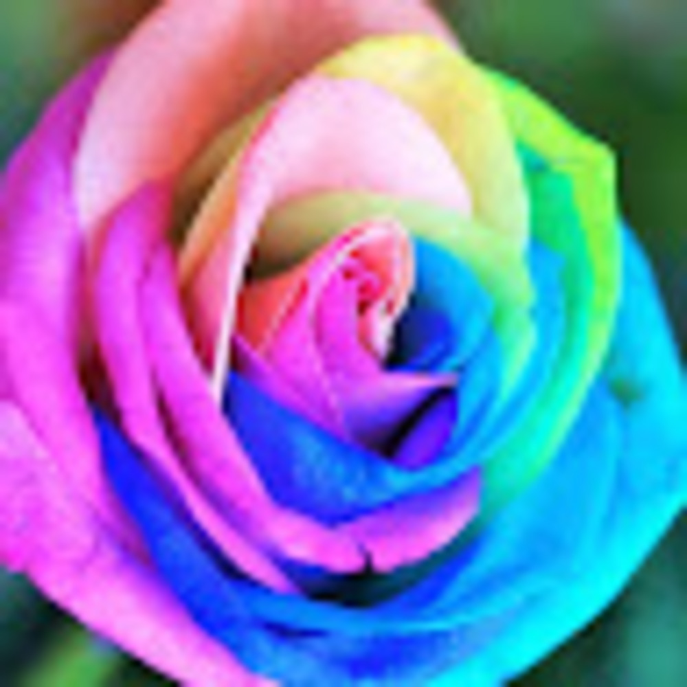 Meet your Posher, Niffy